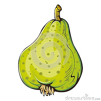Pear Vector Illustration