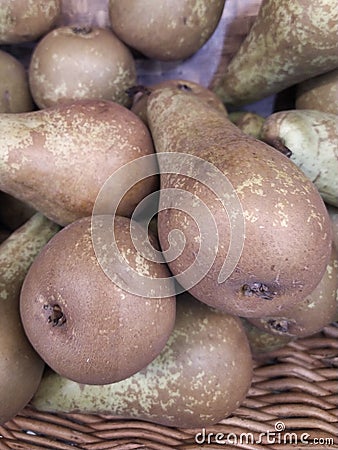 Pear texture: many pears collected in bunkers during harvest at the production stage Stock Photo