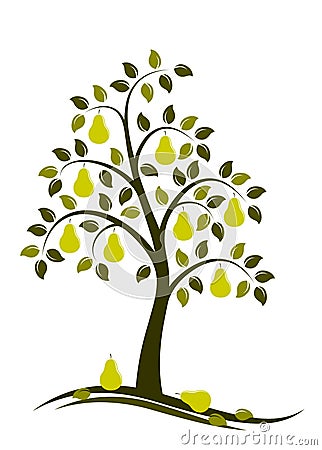 Pear tree Stock Photo