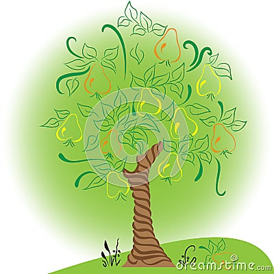 Pear tree with leaves harvest garden Stock Photo