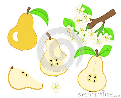 Pear vector Vector Illustration