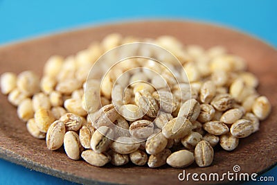 Pearl barley Stock Photo