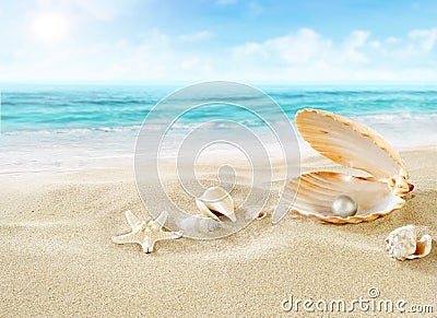 Pearl on the beach. Stock Photo