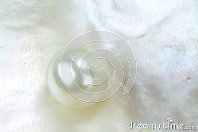 Pearl bead in oyster shell. Macro shot Stock Photo