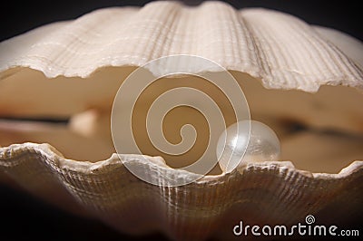 Pearl Inside Stock Photo