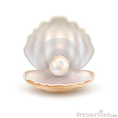 Pearl open shell realistic illustration. Natural beautiful single pearl sea jewelry Cartoon Illustration