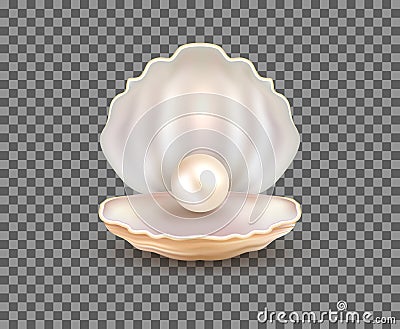 Pearl open shell realistic illustration. Natural beautiful single pearl sea jewelry isolated Vector Illustration