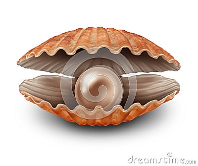 Pearl In Open Shell Stock Photo