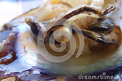 Pearl in oyster Stock Photo