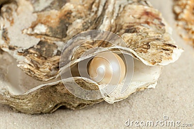 Pearl in oyster Stock Photo