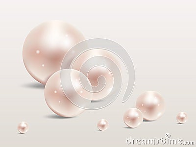 Pearl realistic set on white background.Precious pearl in sphere form. Pearl is luxury glossy stone Vector Illustration