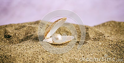 Pearl in a seashell on the beach Stock Photo