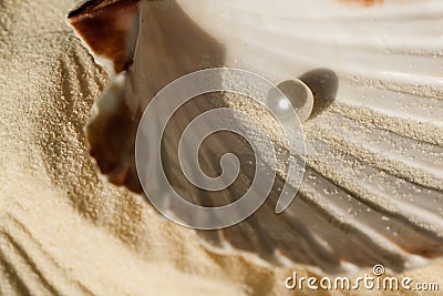 Pearl in the seashell Stock Photo