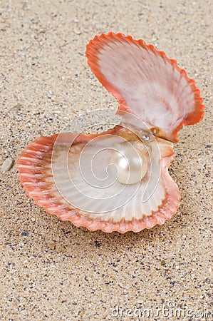 Pearl in shell Stock Photo