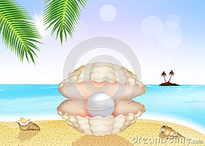 Pearl in the shell Stock Photo