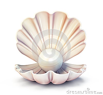 Pearl shell Cartoon Illustration