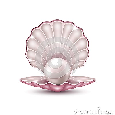 Pearl in the shell Vector Illustration