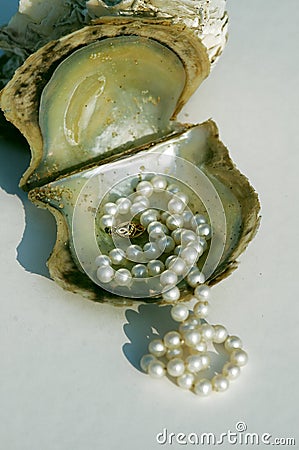 Pearls on oyster shell Stock Photo