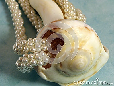 Pearls and shell Stock Photo
