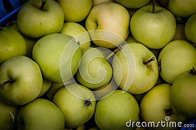 Pearmain apples Stock Photo