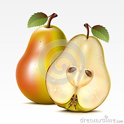 Pears Vector Illustration