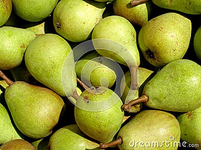 Pears Stock Photo