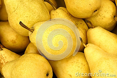 Pears Stock Photo