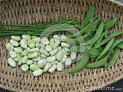 Peas, fava beans Stock Photo