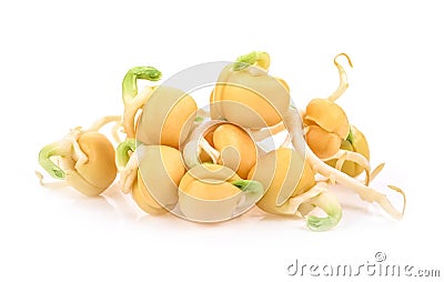 Peas sprouted isolated on a white background Stock Photo