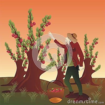 Peasant harvesting and listening to music Vector Illustration