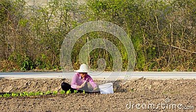 Peasant woman doing farm work in the field Editorial Stock Photo