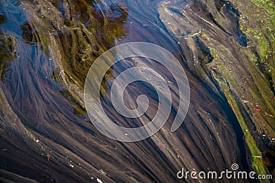 A PEAT BOG IN A REMOTE FOREST.A FRAGMENT OF THE SURFACE OF A PEAT BOG OVERGROWN WITH GRASS AND FLOATING DUCKWEED Stock Photo