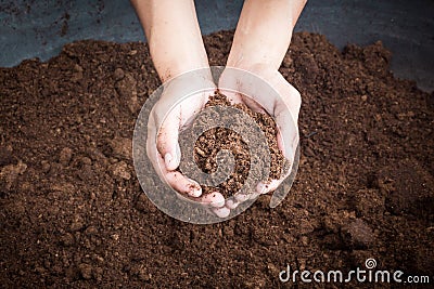 Peat moss soil on hand woman Stock Photo