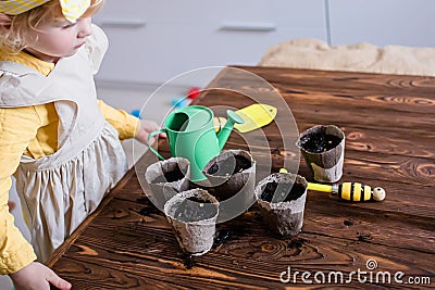 Peat pots, a small green watering can, a rake and a shovel on a wooden vintage table. Cultivation of seedlings by a Stock Photo