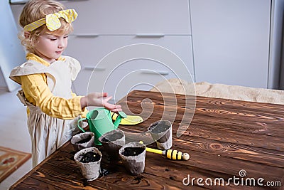 Peat pots, a small green watering can, a rake and a shovel on a wooden vintage table. Cultivation of seedlings by a Stock Photo