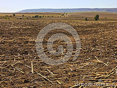 Peat soil as a background. Dirt texture as background Stock Photo