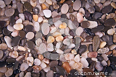 Pebble moistened with water Stock Photo