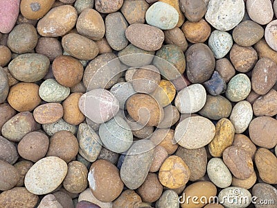 Pebble stone background, small Scree in garden with difference color, abstract background Stock Photo