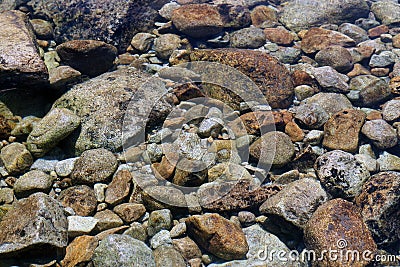 Pebble & water Stock Photo