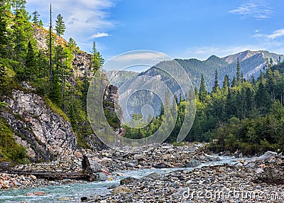 Pebbles in bed of mountain stream Stock Photo