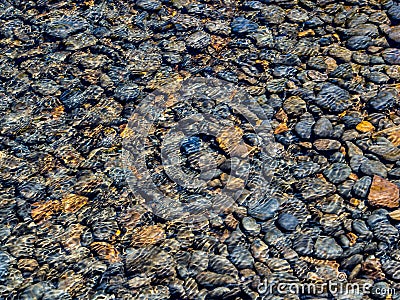 Pebbles in stream Stock Photo