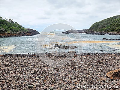 Pebbly beach at Bushrangers Bay Stock Photo