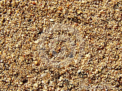 Pebbly sand texture background Stock Photo