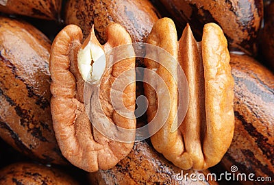 Pecan halves on background Stock Photo