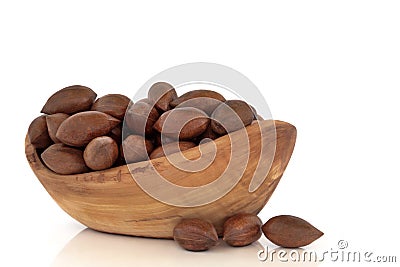 Pecan Nuts Stock Photo