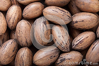 Pecan nuts in shells Stock Photo
