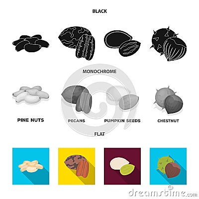 Pecan, pine nut, pumpkin seeds, chestnut.Different kinds of nuts set collection icons in black, flat, monochrome style Vector Illustration