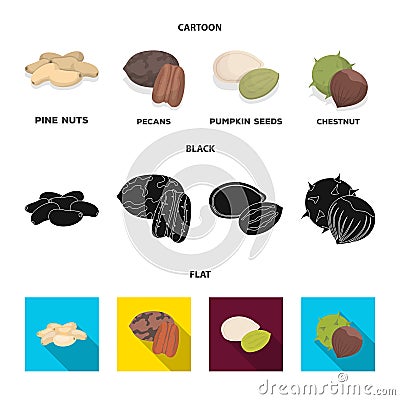 Pecan, pine nut, pumpkin seeds, chestnut.Different kinds of nuts set collection icons in cartoon,black,flat style vector Vector Illustration