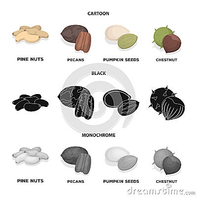 Pecan, pine nut, pumpkin seeds, chestnut.Different kinds of nuts set collection icons in cartoon,black,monochrome style Vector Illustration