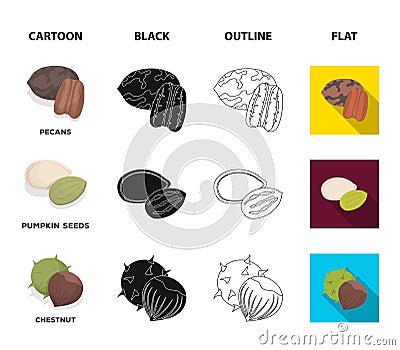 Pecan, pine nut, pumpkin seeds, chestnut.Different kinds of nuts set collection icons in cartoon,black,outline,flat Vector Illustration